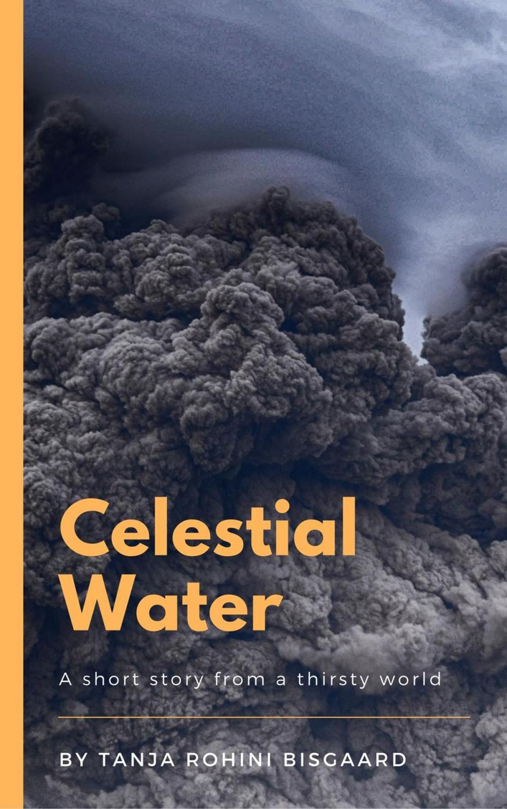 Big bigCover of Celestial Water