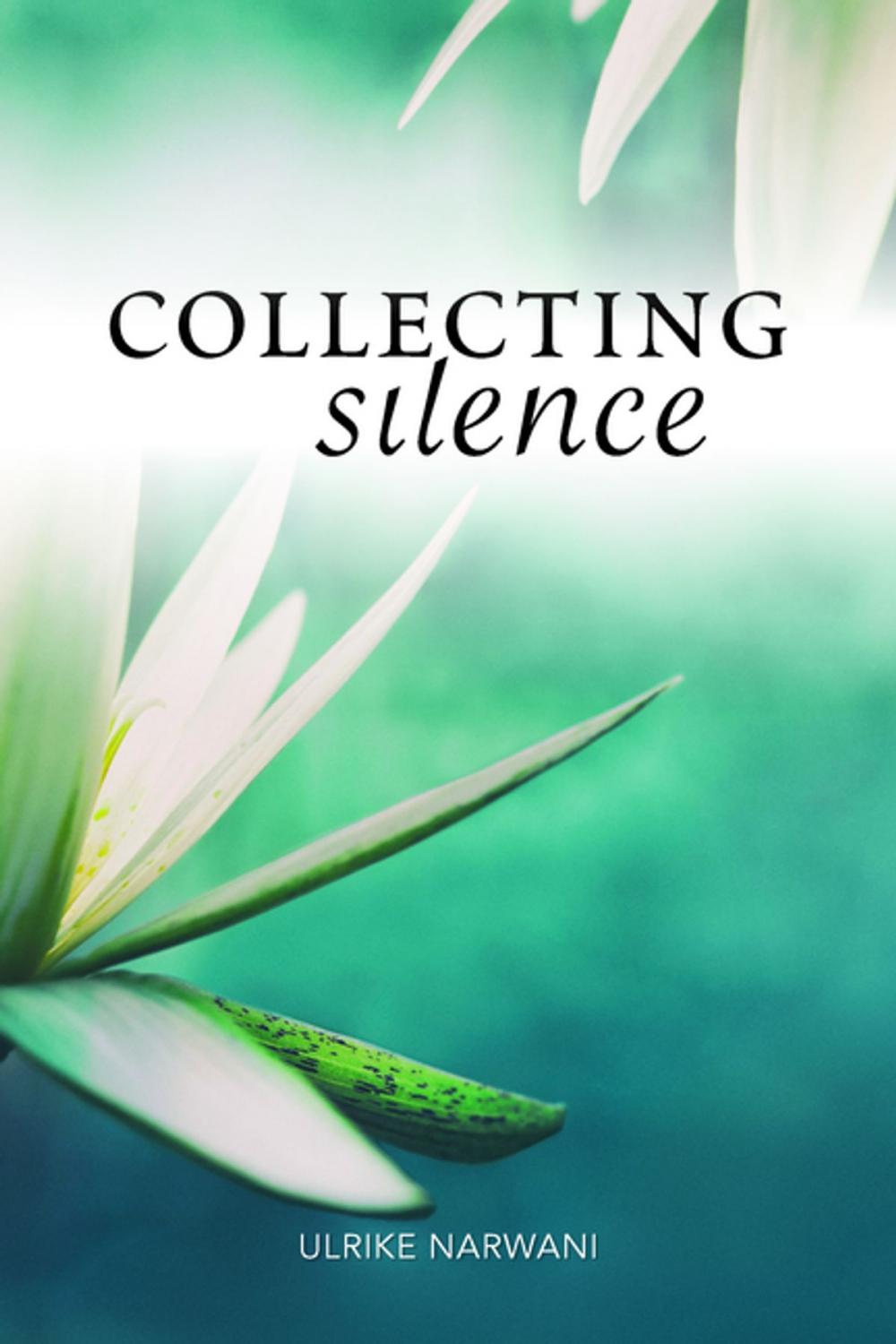 Big bigCover of Collecting Silence