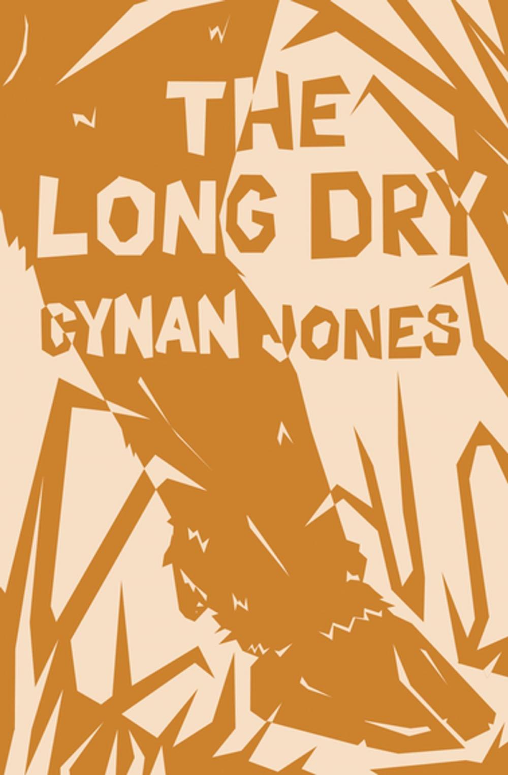 Big bigCover of The Long Dry