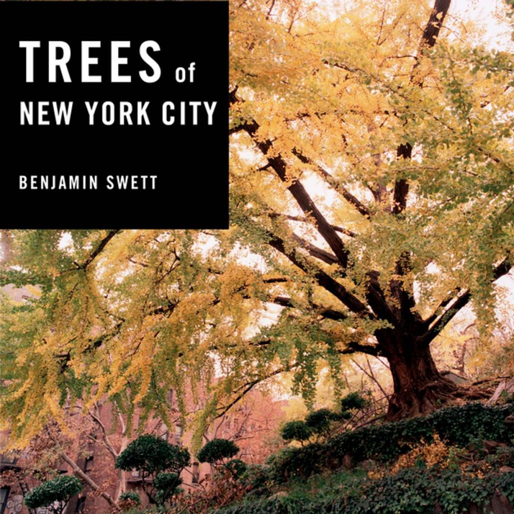 Big bigCover of Trees of New York City