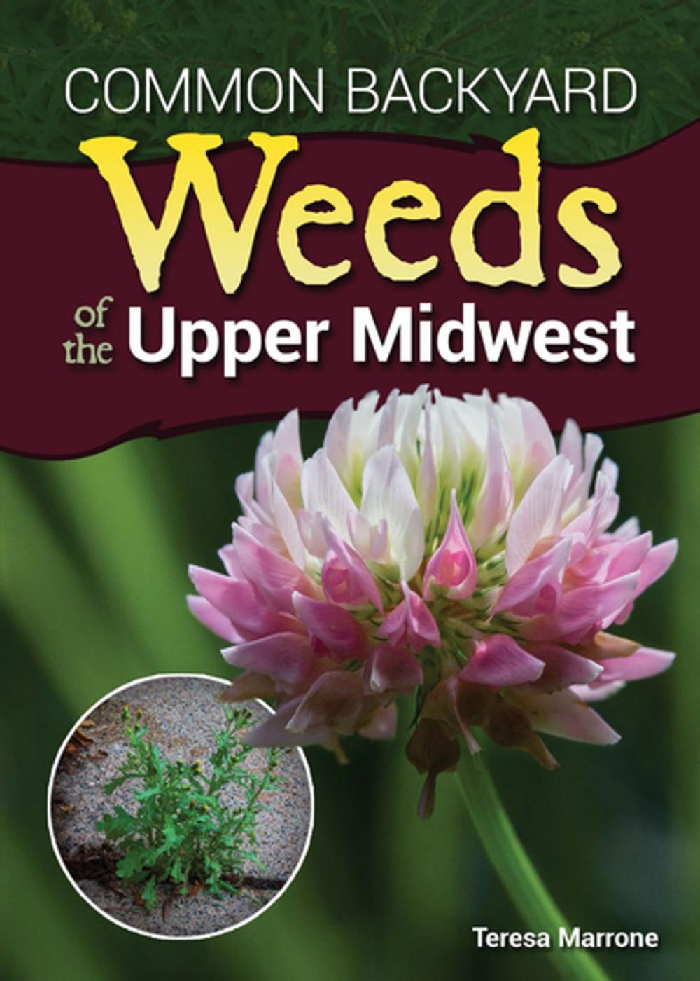 Big bigCover of Common Backyard Weeds of the Upper Midwest