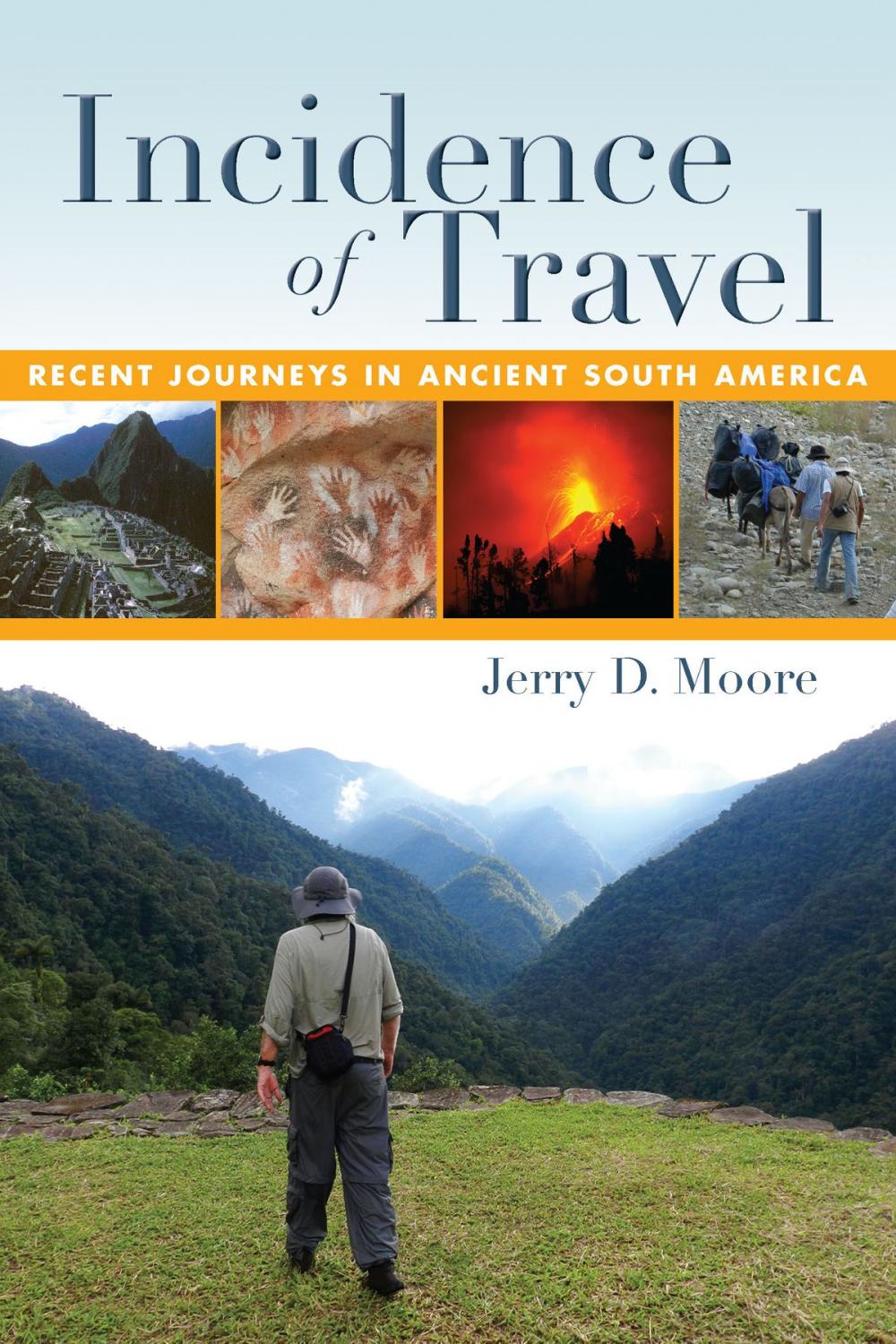 Big bigCover of Incidence of Travel