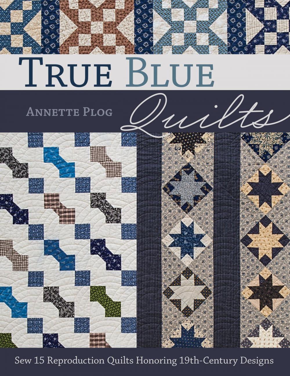 Big bigCover of True Blue Quilts