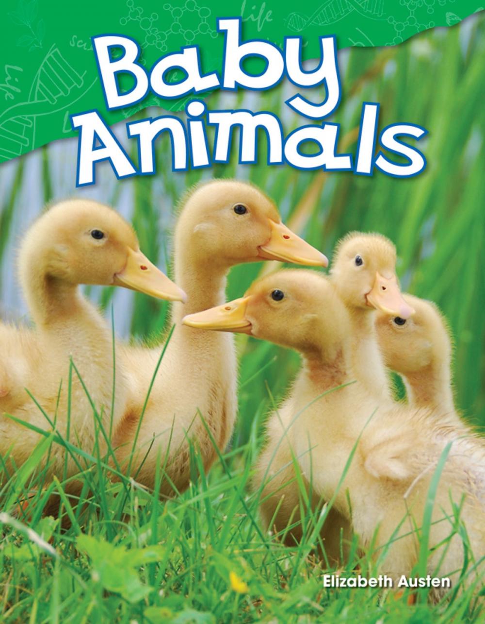 Big bigCover of Baby Animals