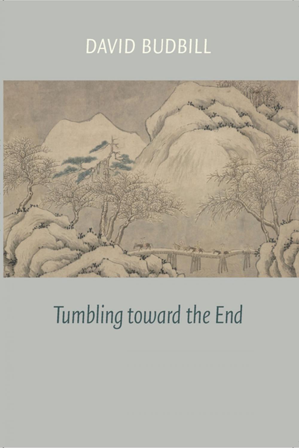 Big bigCover of Tumbling Toward the End