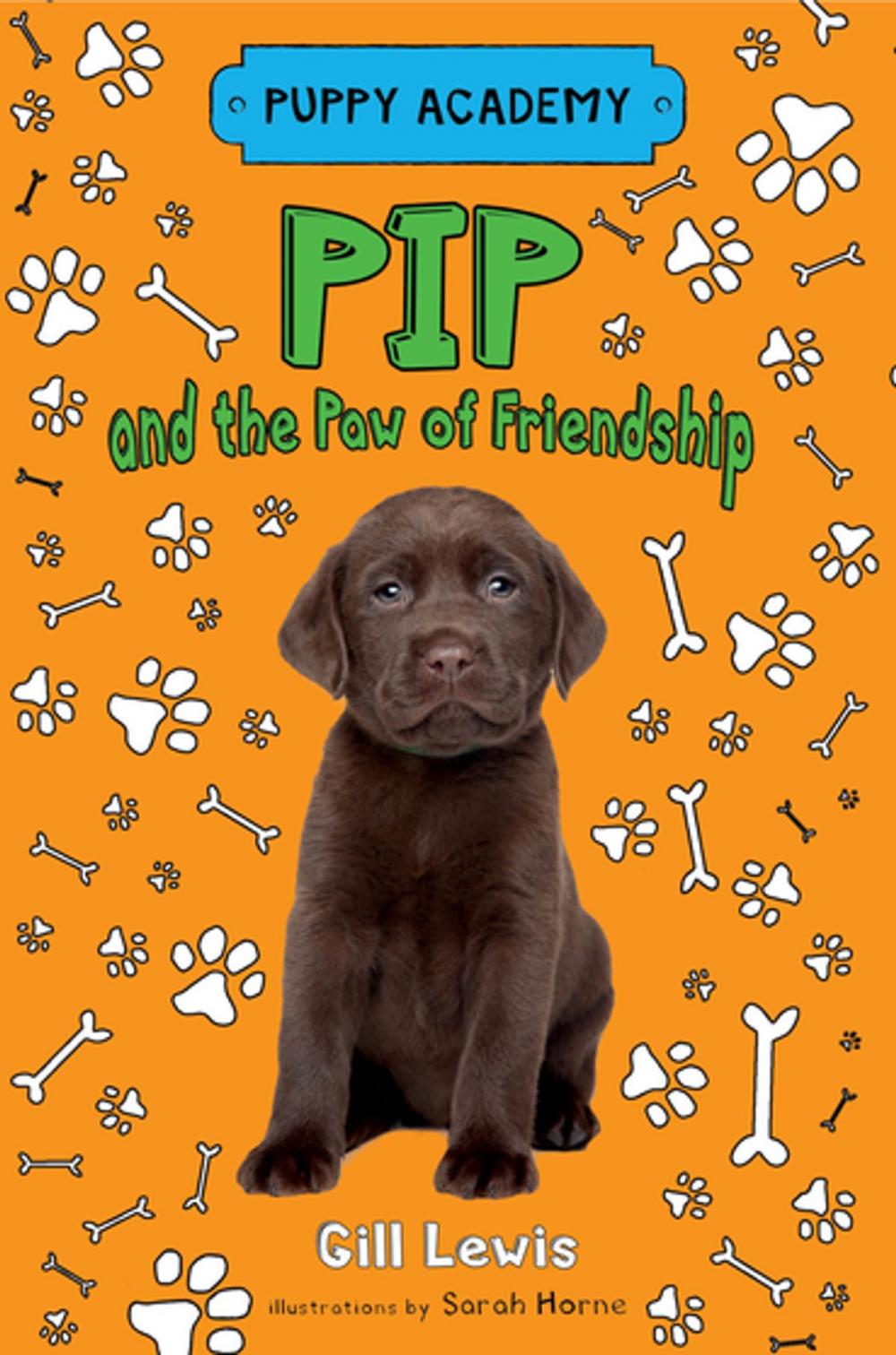 Big bigCover of Pip and the Paw of Friendship