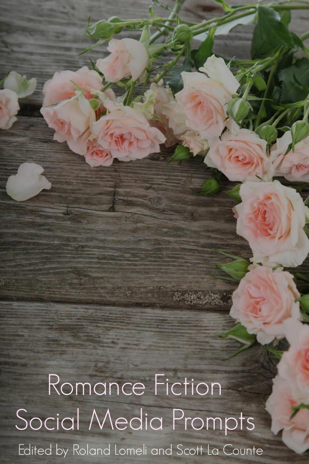 Big bigCover of Romance Fiction Social Media Prompts For Authors