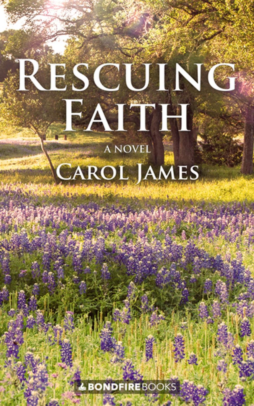 Big bigCover of Rescuing Faith