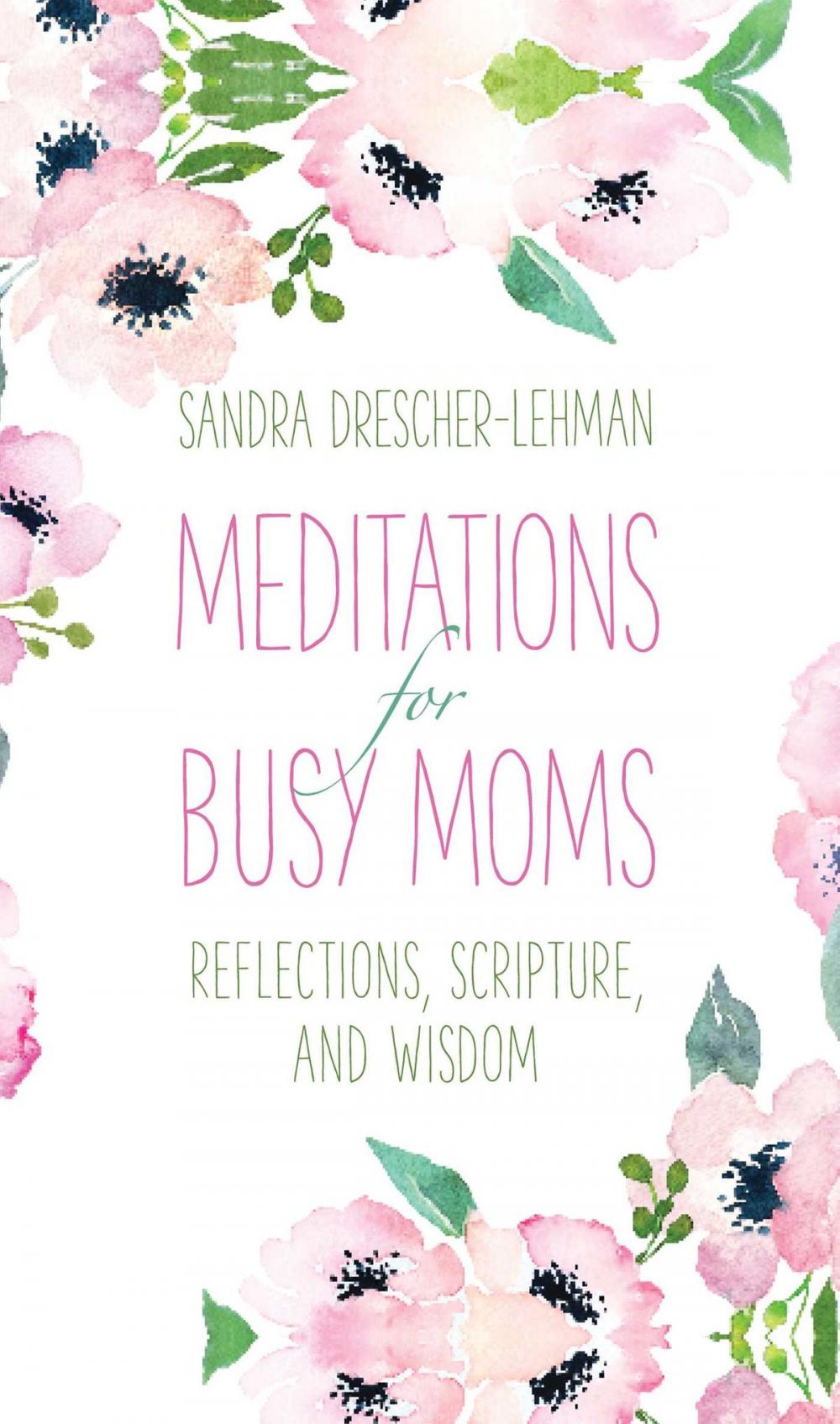 Big bigCover of Meditations for Busy Moms