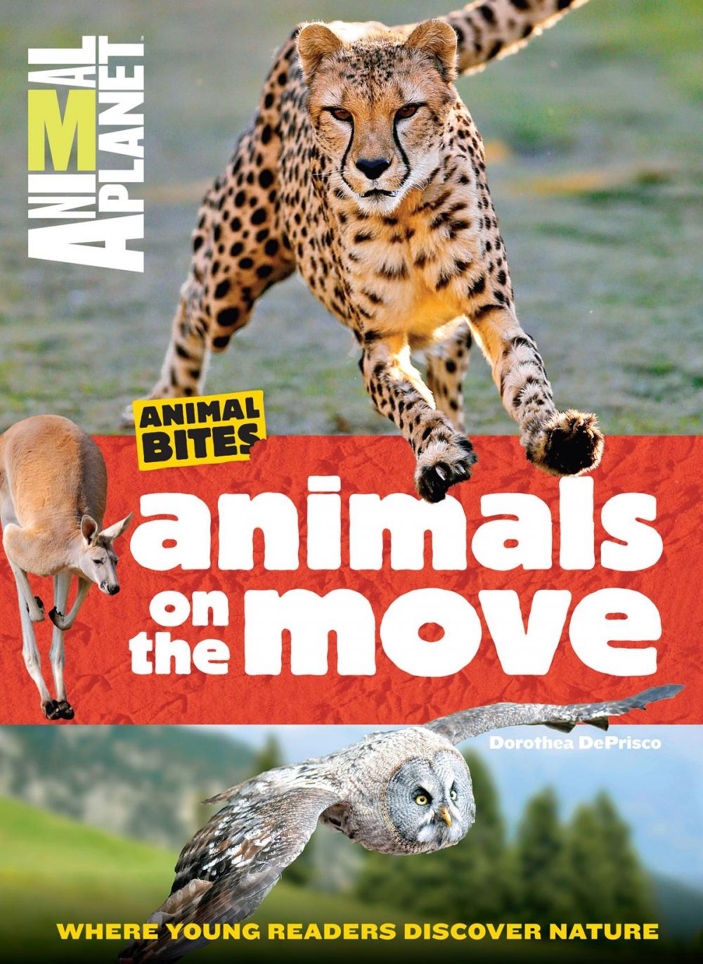 Big bigCover of Animals on the Move (Animal Planet Animal Bites)