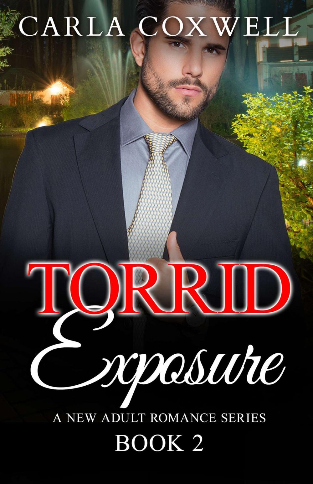 Big bigCover of Torrid Exposure - Book 2