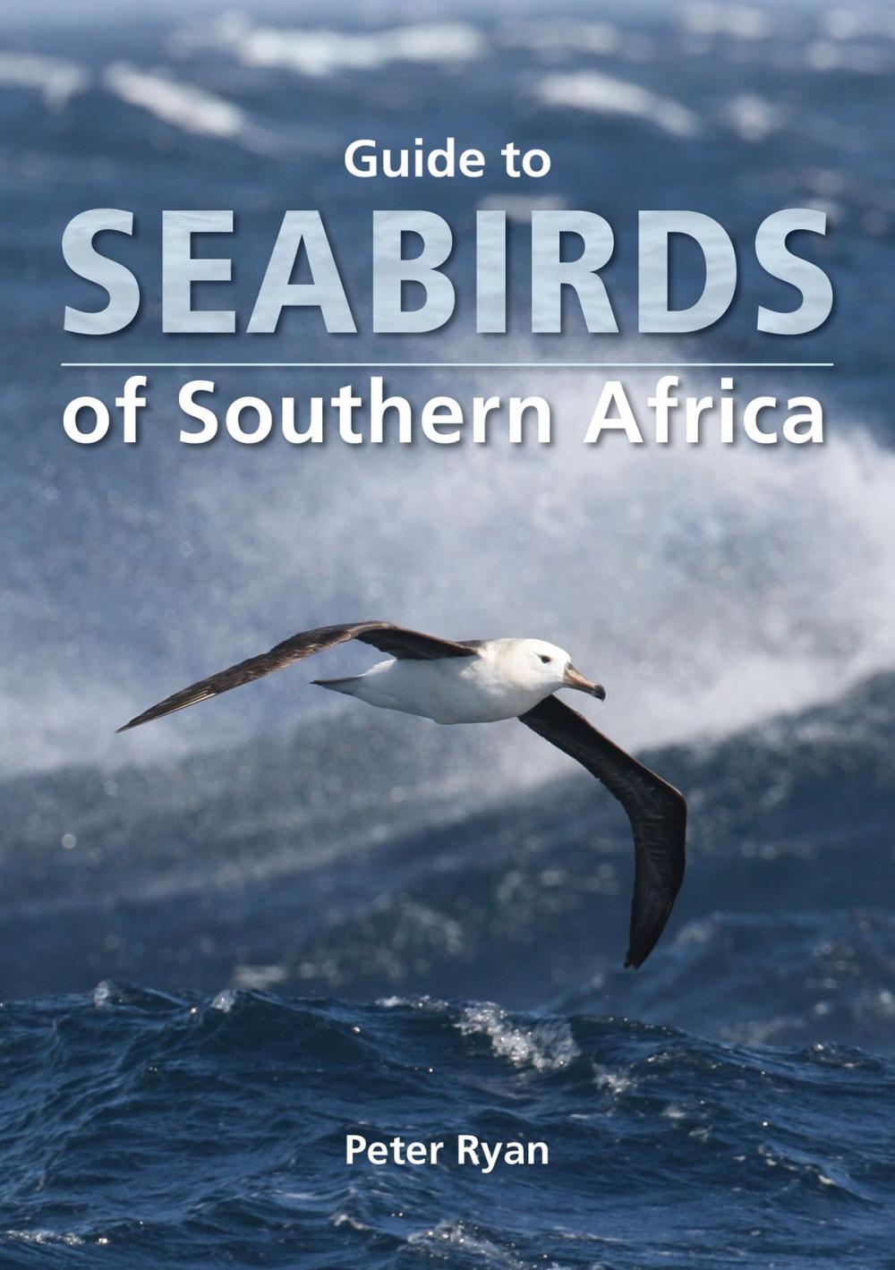 Big bigCover of Guide to Seabirds of Southern Africa