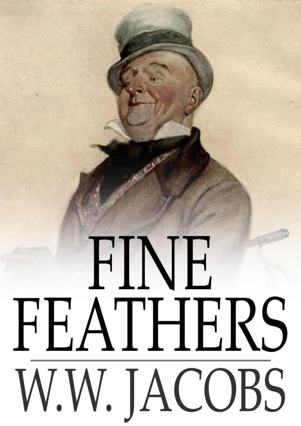 Big bigCover of Fine Feathers