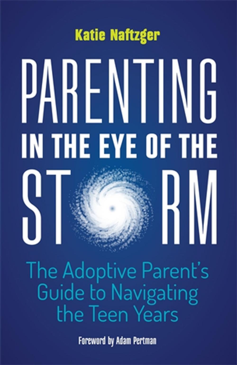 Big bigCover of Parenting in the Eye of the Storm