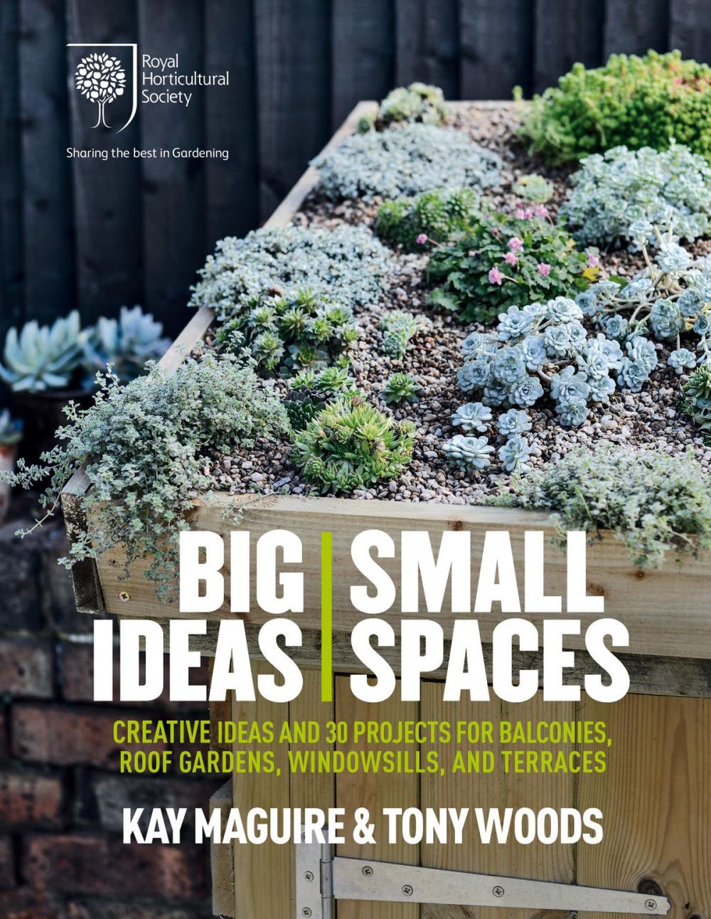 Big bigCover of RHS Big Ideas, Small Spaces