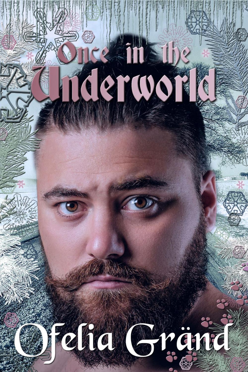 Big bigCover of Once in the Underworld