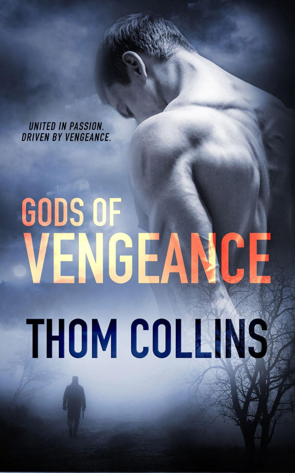 Big bigCover of Gods of Vengeance