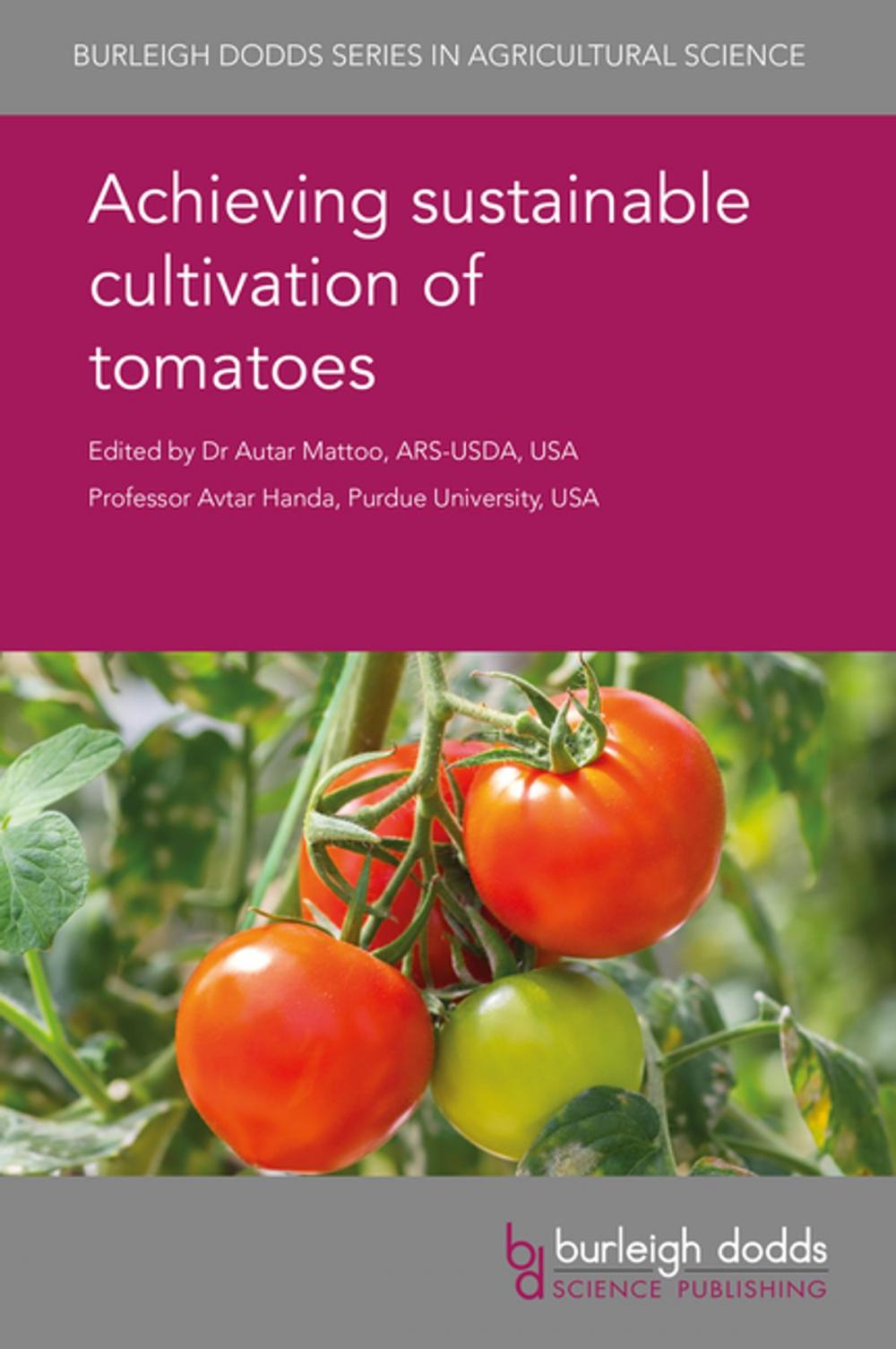 Big bigCover of Achieving sustainable cultivation of tomatoes