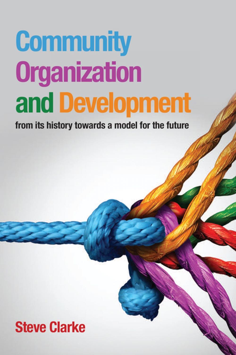 Big bigCover of Community Organization and Development