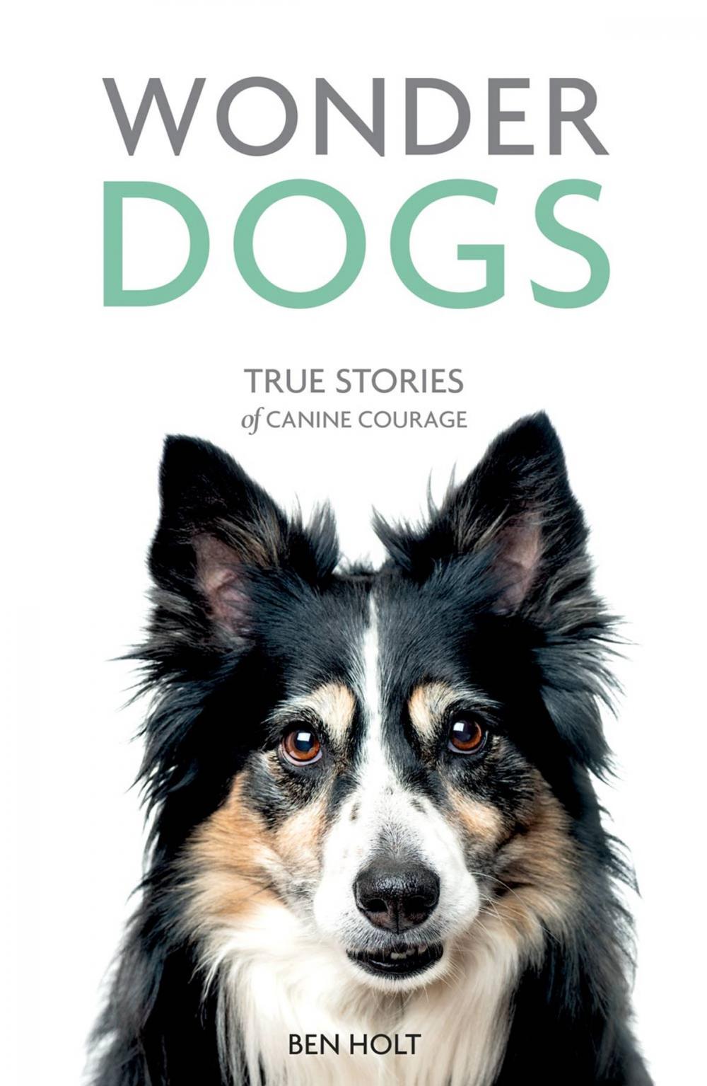 Big bigCover of Wonder Dogs: True Stories of Canine Courage