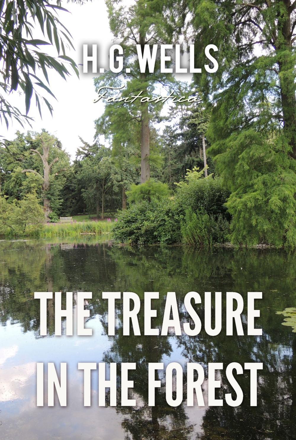 Big bigCover of The Treasure In The Forest