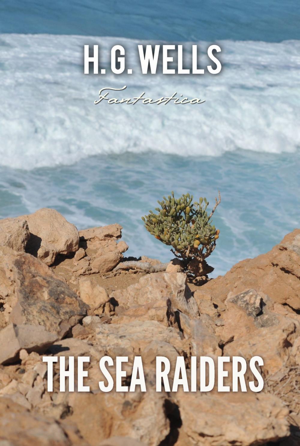 Big bigCover of The Sea Raiders