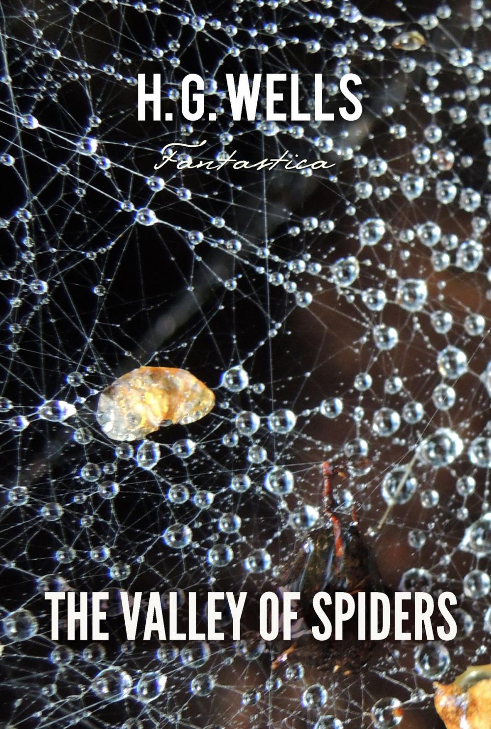 Big bigCover of The Valley of Spiders