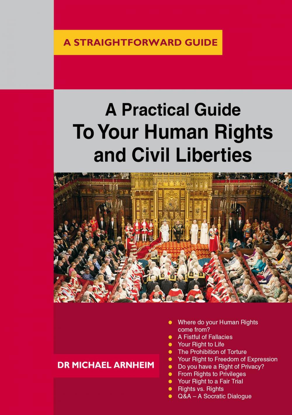 Big bigCover of A Practical Guide To Your Human Rights And Civil Liberties