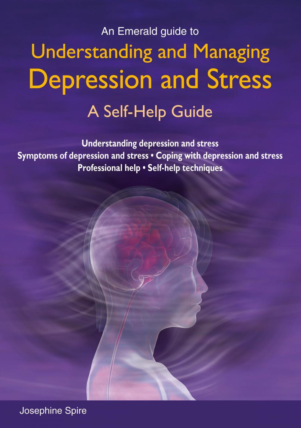 Big bigCover of Understanding And Managing Depression And Stress