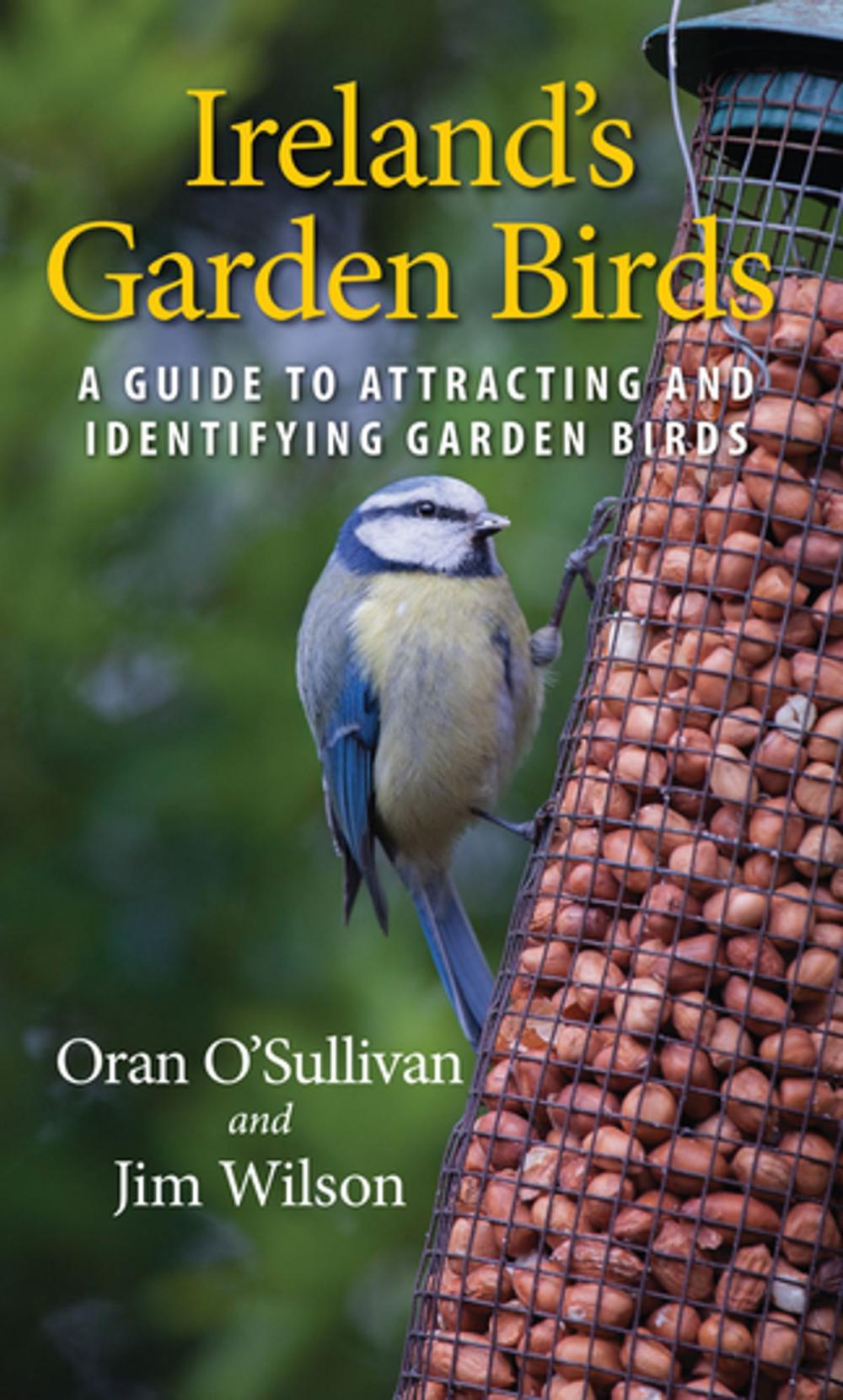 Big bigCover of Ireland's Garden Birds