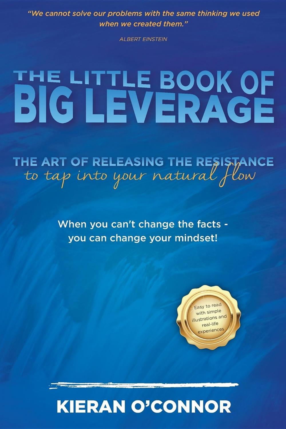 Big bigCover of The Little Book of Big Leverage