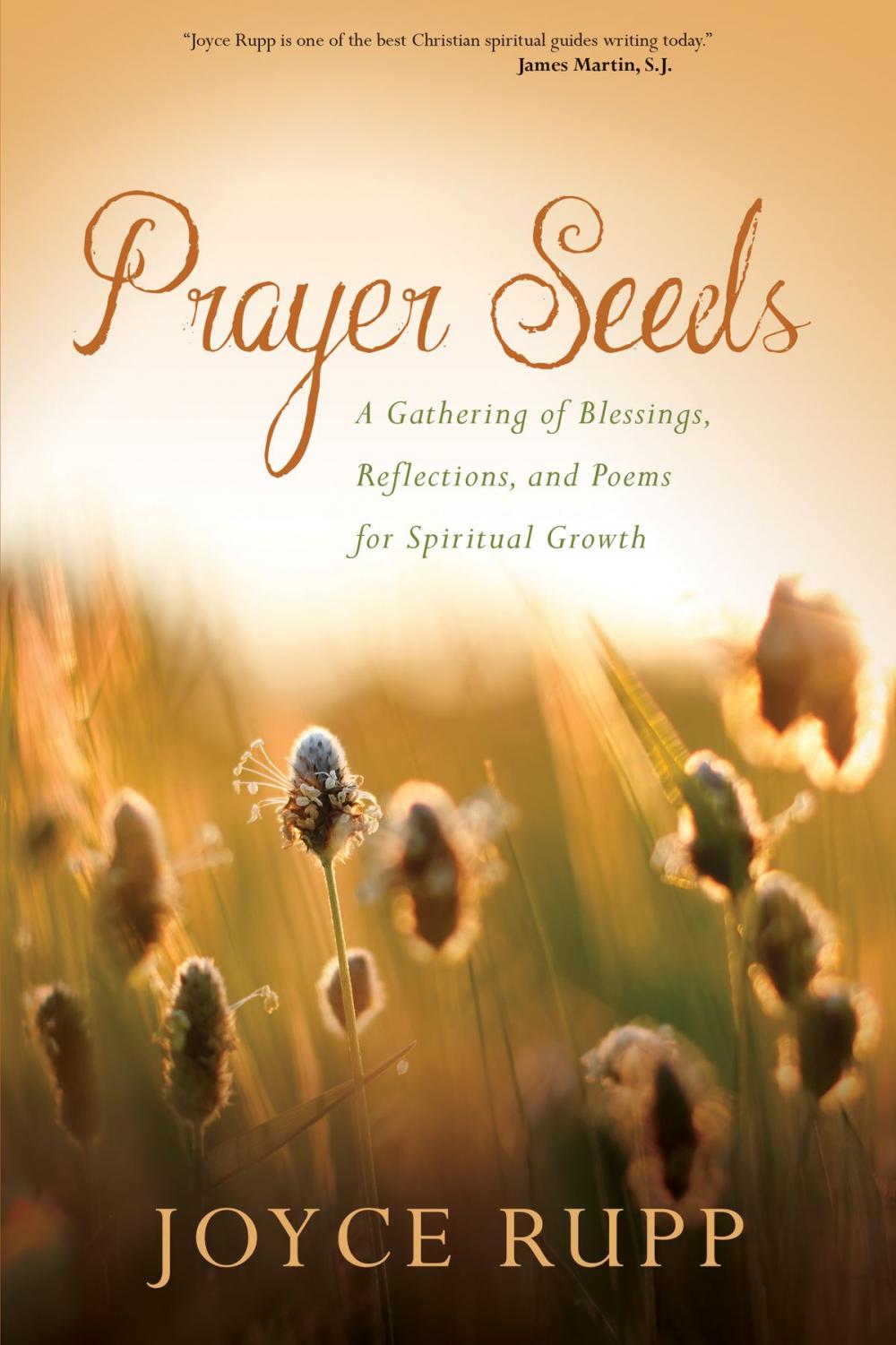 Big bigCover of Prayer Seeds