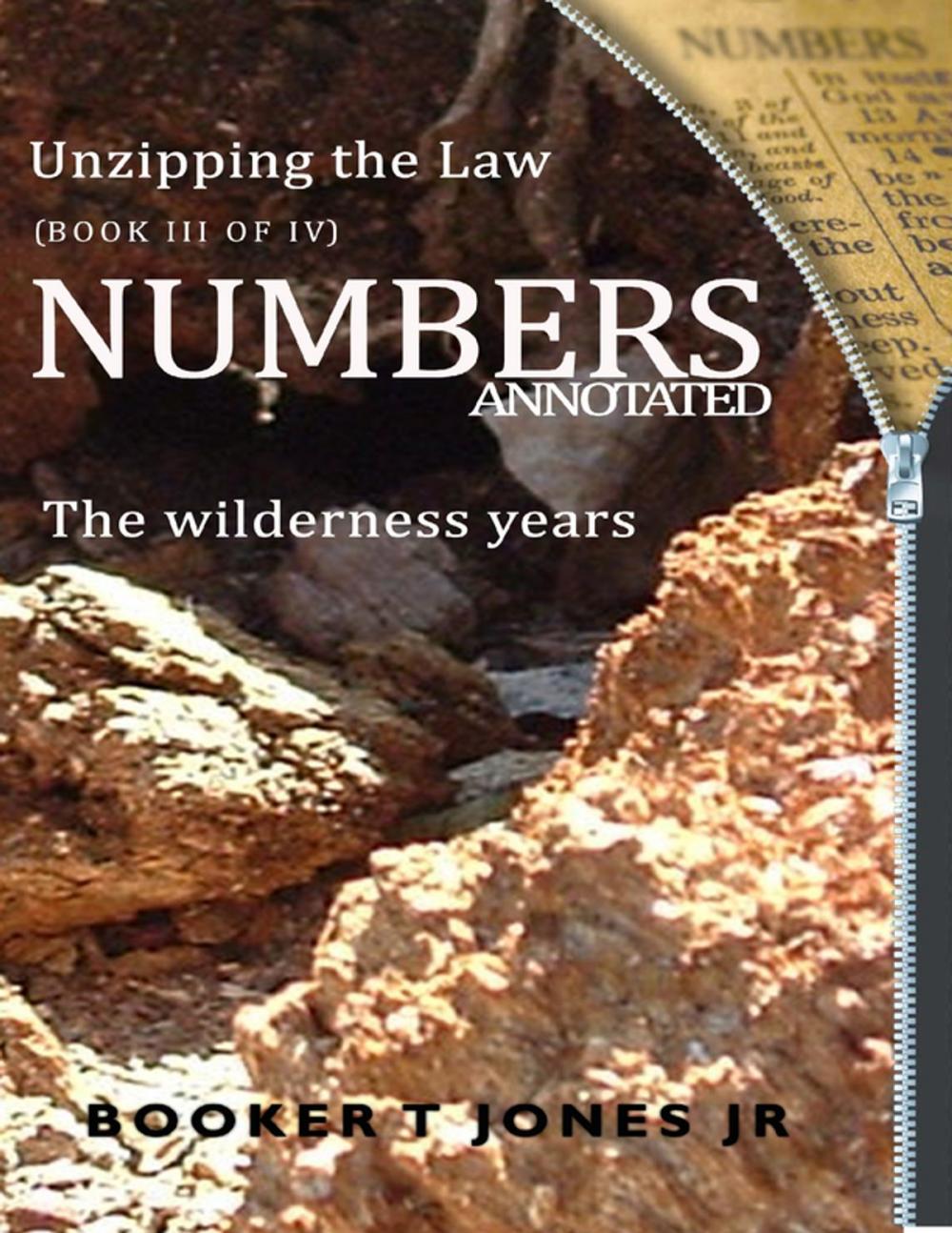 Big bigCover of Unzipping the Law Numbers Annotated