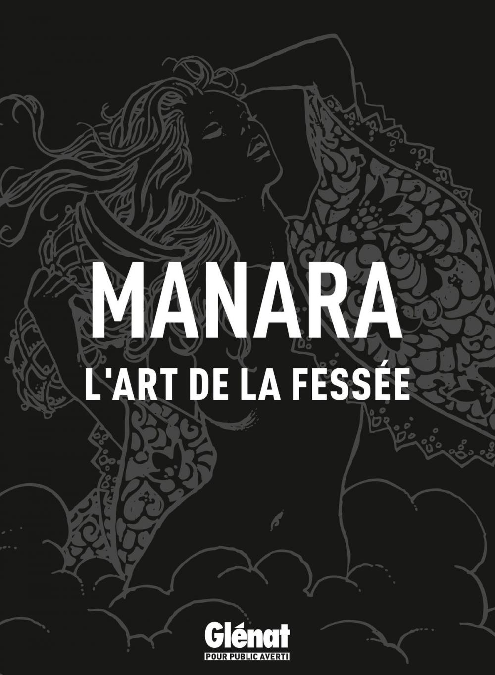 Big bigCover of L'art de la fessée