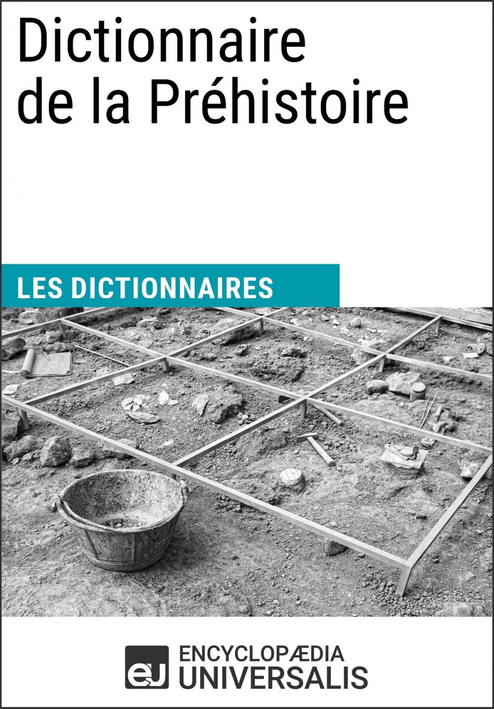 Big bigCover of Dictionnaire de la Préhistoire