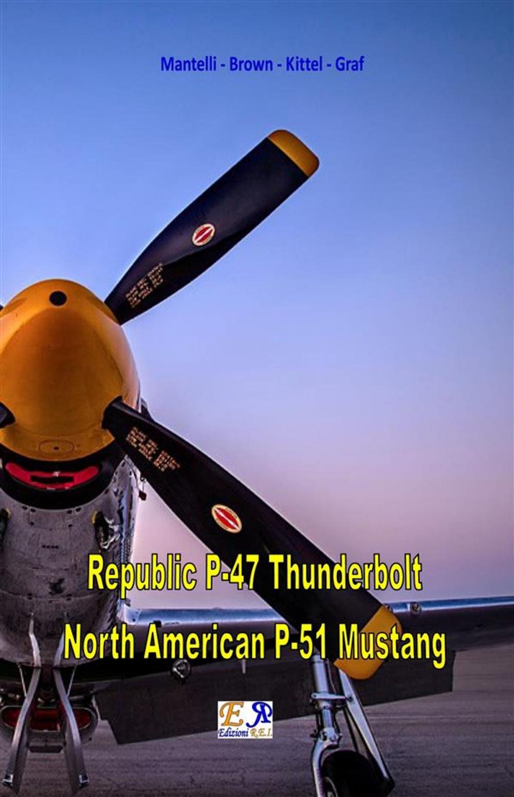 Big bigCover of Republic P-47 Thunderbolt - North American P-51 Mustang