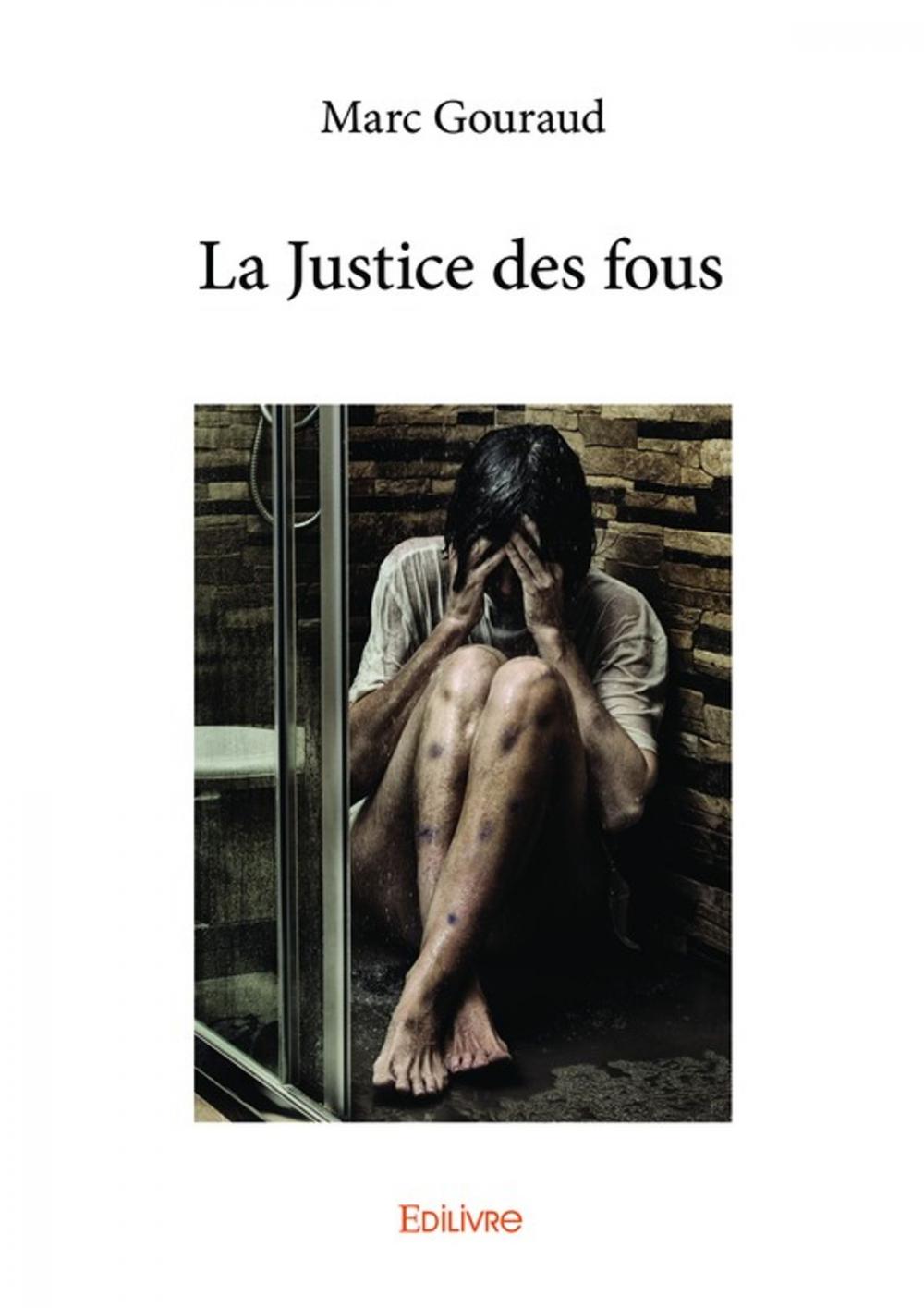 Big bigCover of La Justice des fous