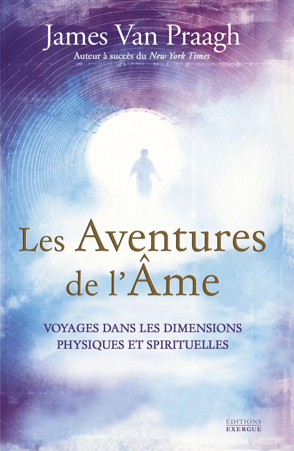 Big bigCover of Les Aventures de l'âme