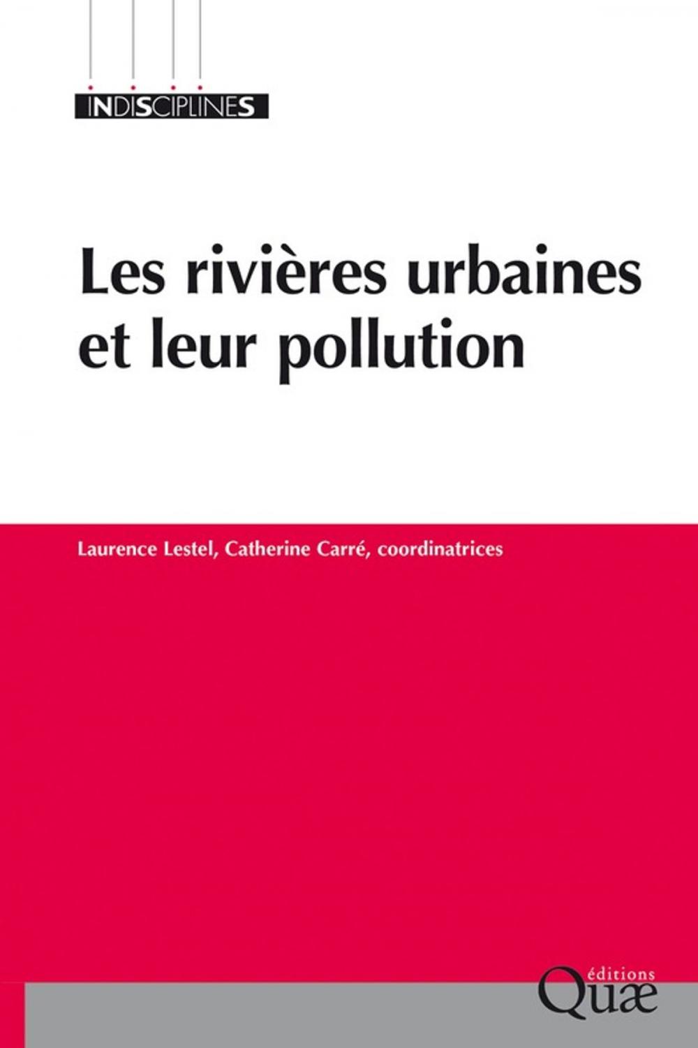 Big bigCover of Les rivières urbaines et leur pollution