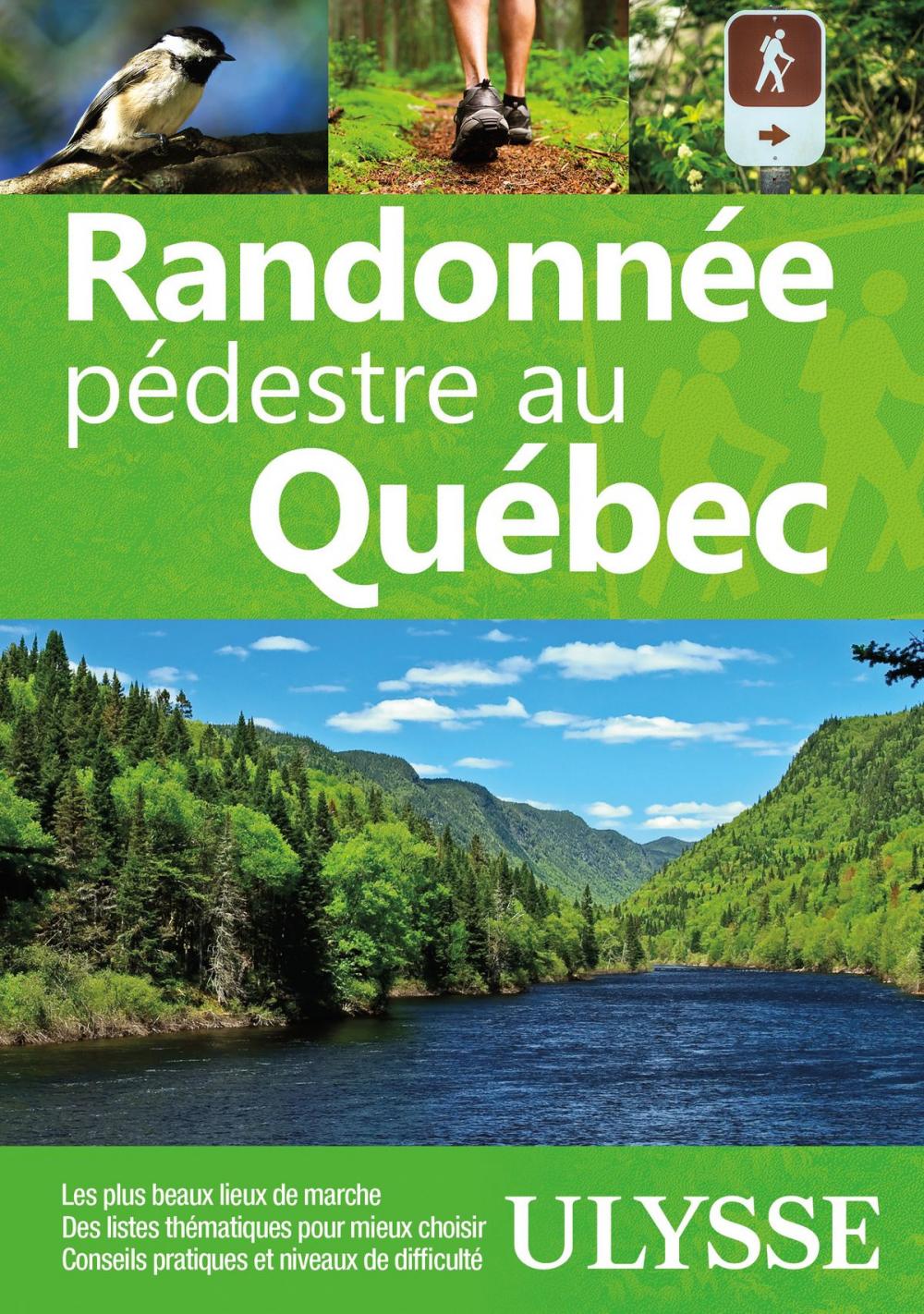 Big bigCover of Randonnée pédestre au Québec