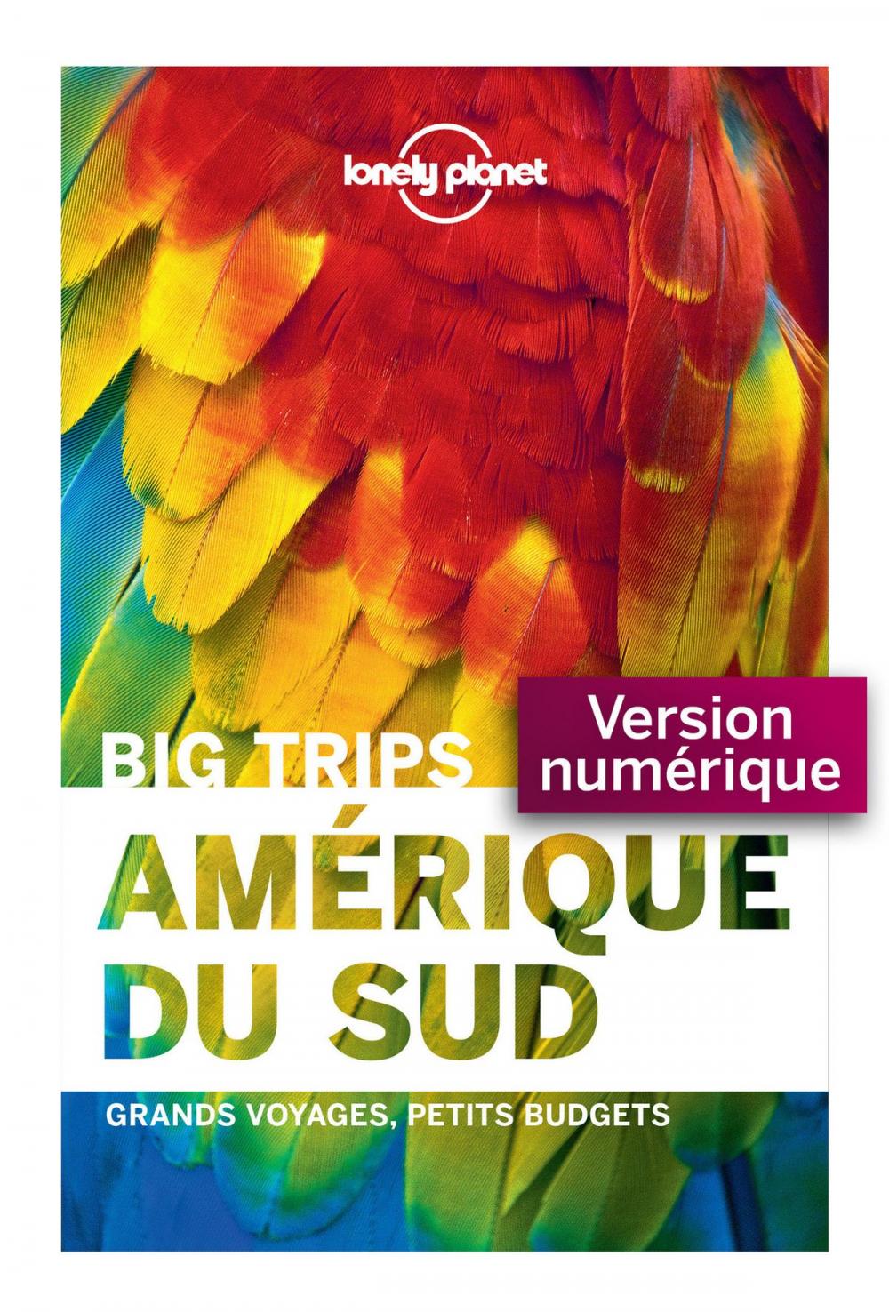 Big bigCover of Big Trips - Amérique du sud