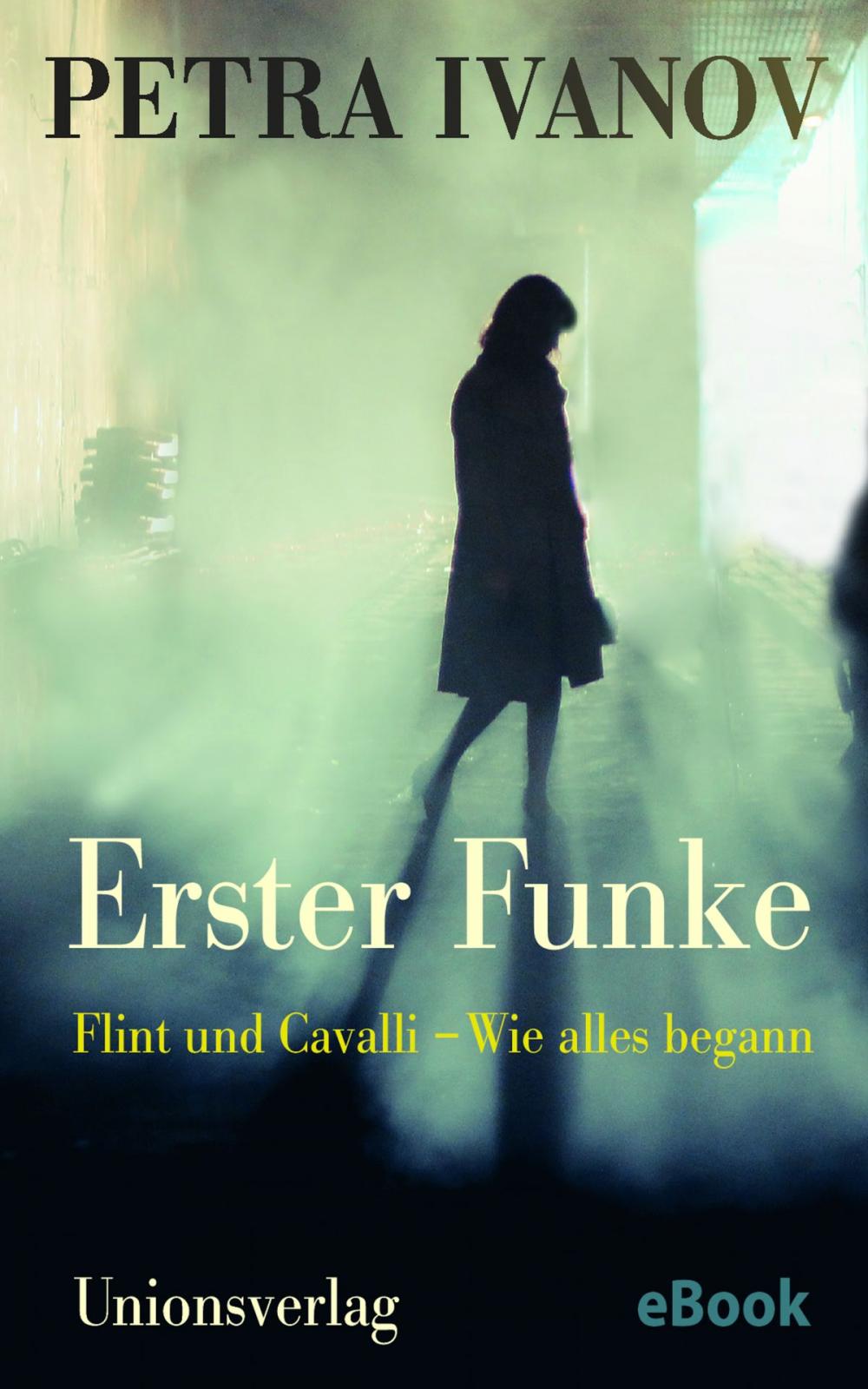 Big bigCover of Erster Funke