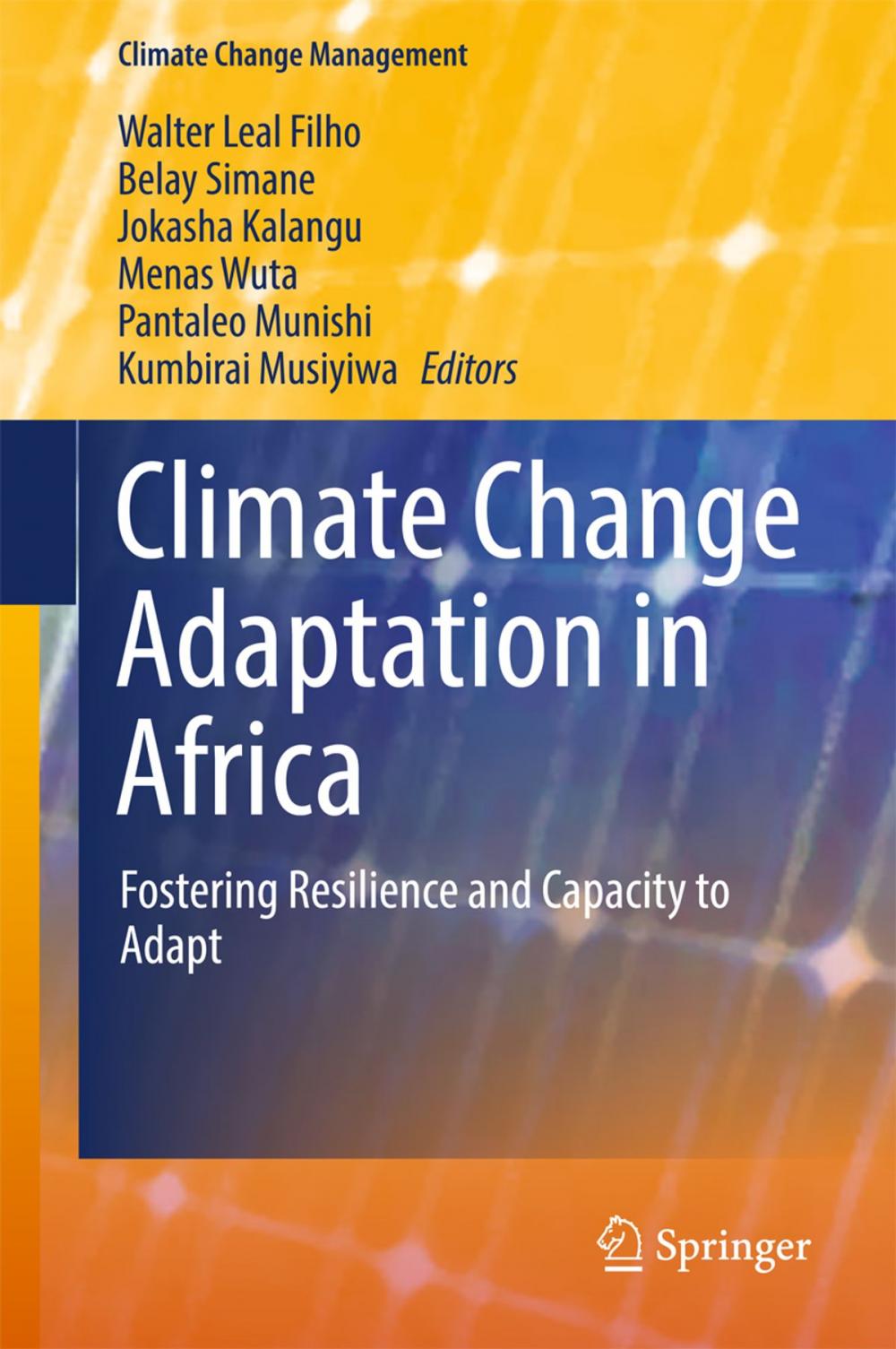 Big bigCover of Climate Change Adaptation in Africa