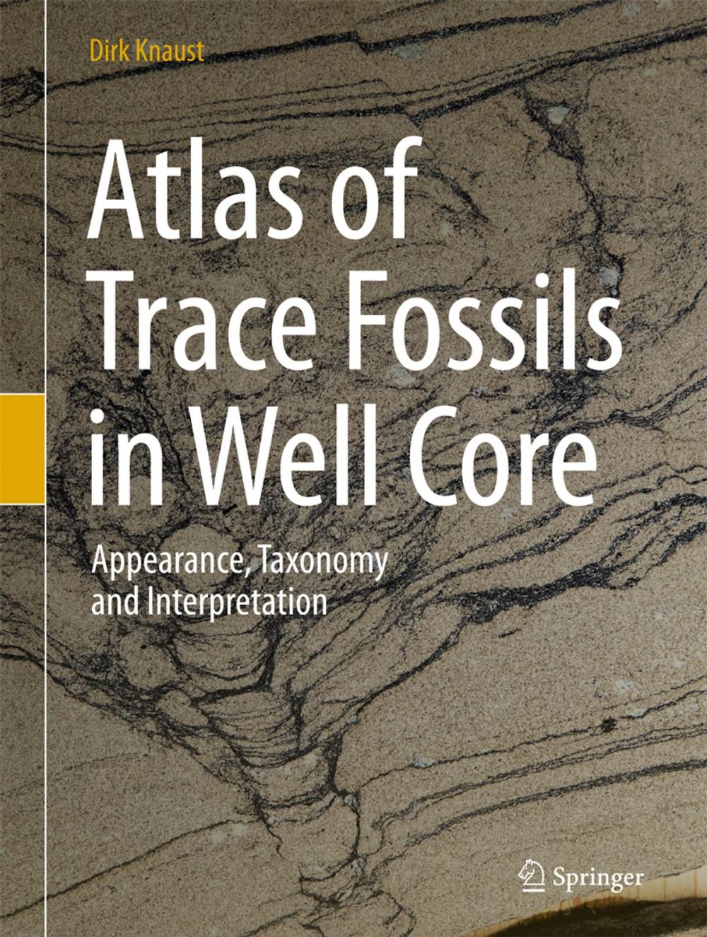 Big bigCover of Atlas of Trace Fossils in Well Core