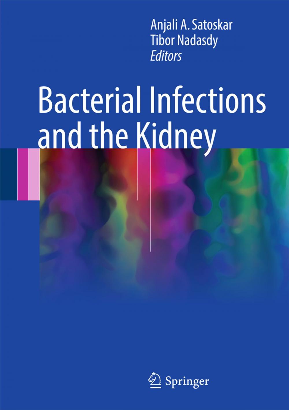 Big bigCover of Bacterial Infections and the Kidney
