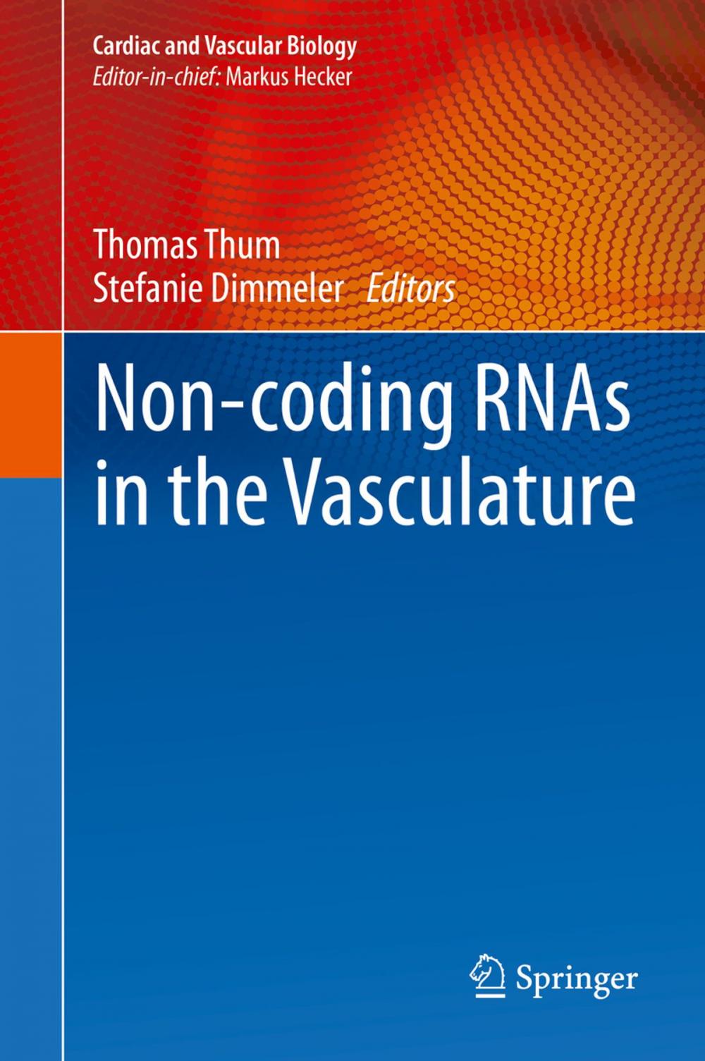 Big bigCover of Non-coding RNAs in the Vasculature