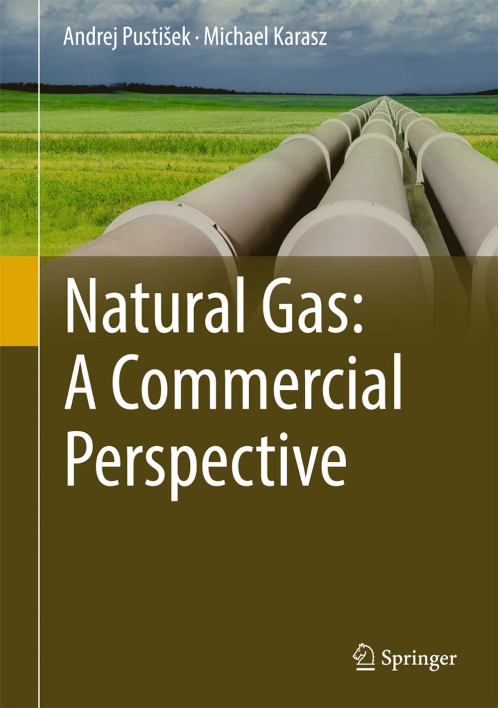 Big bigCover of Natural Gas: A Commercial Perspective