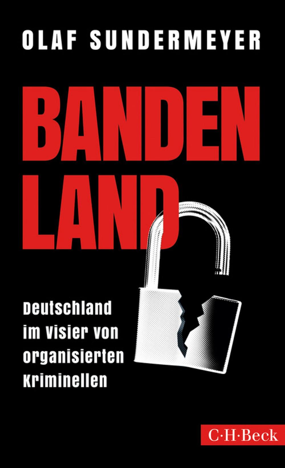 Big bigCover of Bandenland