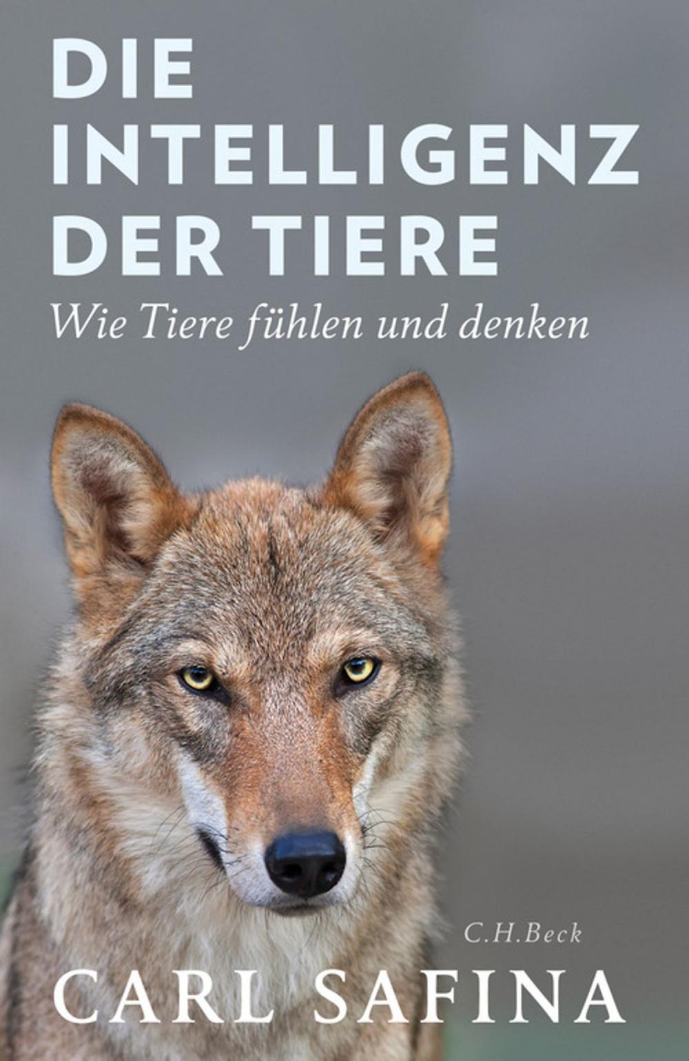 Big bigCover of Die Intelligenz der Tiere