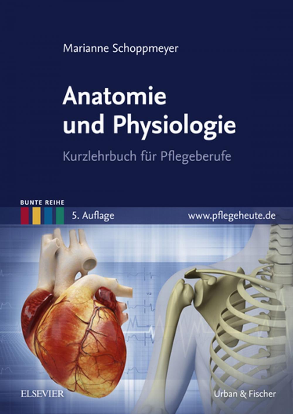 Big bigCover of Anatomie und Physiologie